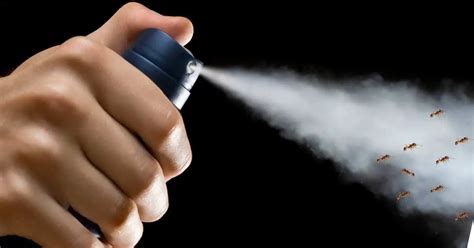 Does deodorant kill insects?