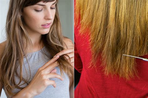 Does dirty hair break easier?