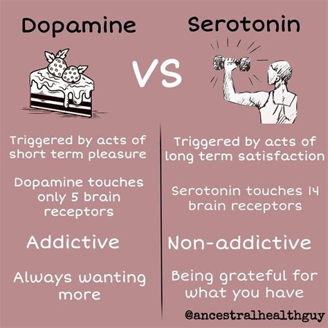 Does dopamine affect attraction?