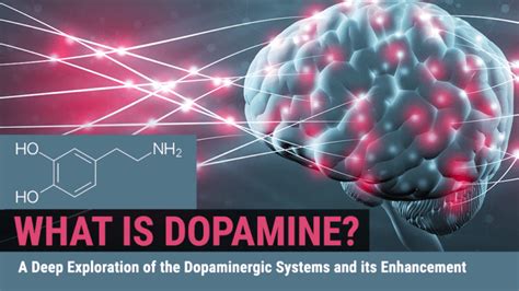 Does dopamine cause horniness?