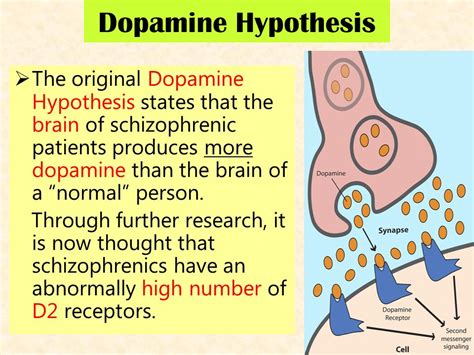 Does dopamine cause psychosis?
