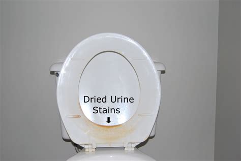 Does dried pee leave a stain?