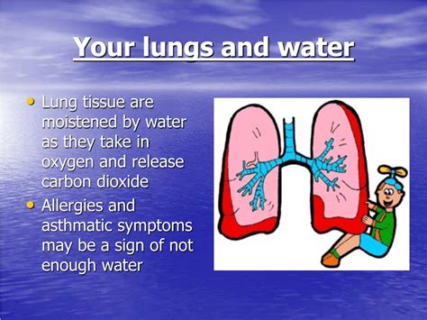 Does drinking water help mucus in lungs?