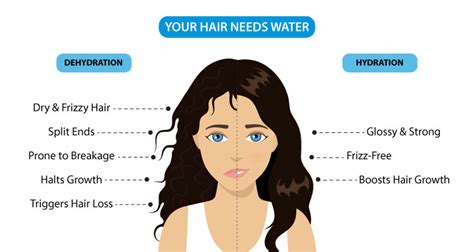 Does drinking water hydrate hair?