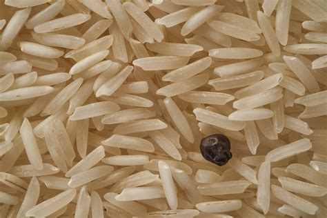Does dry rice mold?