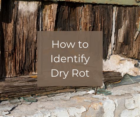 Does dry wood stop rotting?