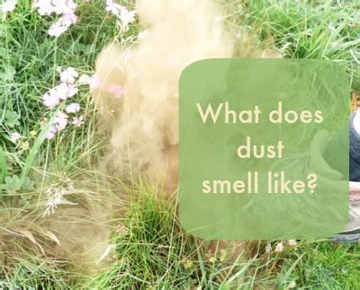 Does dust make a room smell?