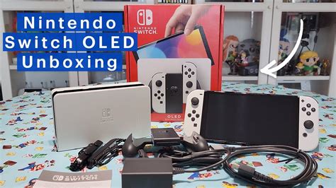 Does each person need a Nintendo Switch?