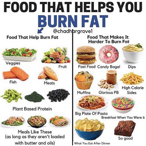 Does eating fat burn fat?
