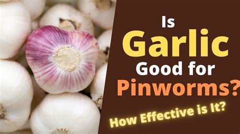 Does eating raw garlic kill tapeworms?