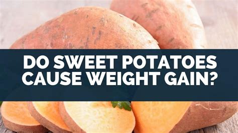 Does eating too much sweet potato cause weight gain?