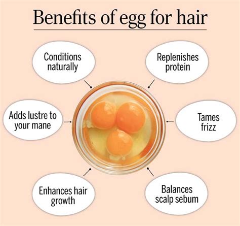 Does egg good for hair growth?