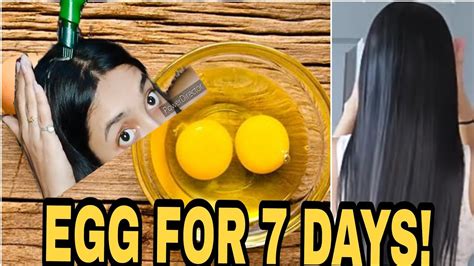 Does egg grow hair faster?