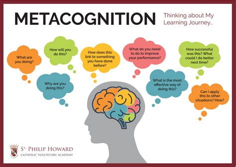 Does everyone have metacognition?