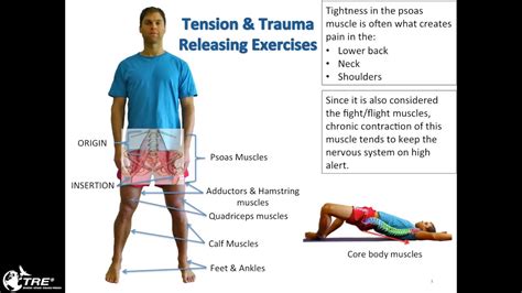 Does exercise release trauma?