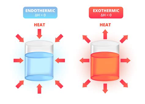 Does exothermic get hot?