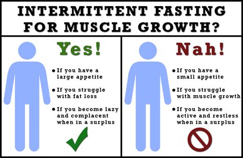 Does fasting affect muscle growth?