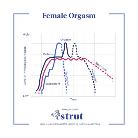 Does female arousal have a smell?