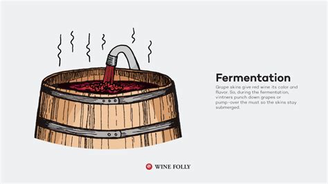 Does fermentation need air?