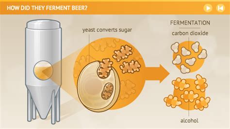 Does fermentation produce co2?