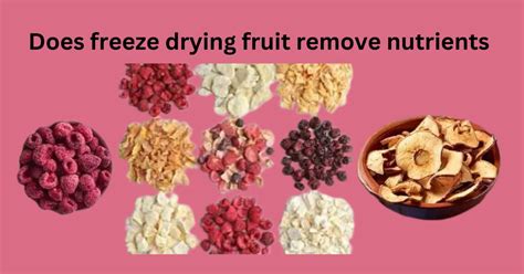 Does freeze-drying remove nutrients?