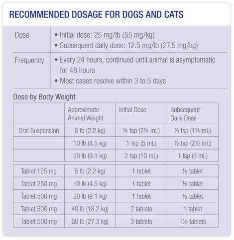 Does gabapentin make cats hungry?