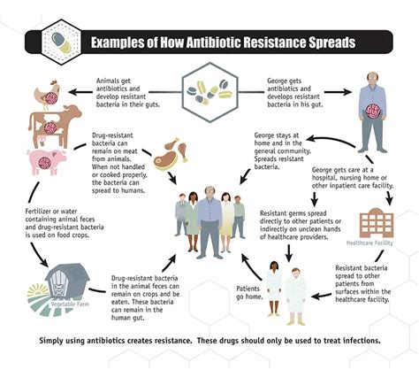 Does garlic cause antibiotic resistance?