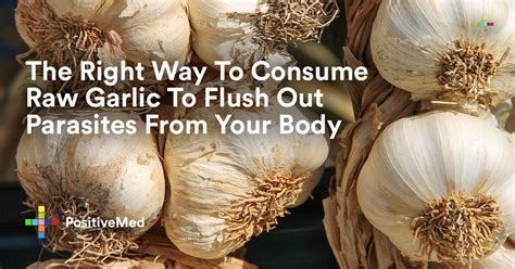 Does garlic keep parasites away?
