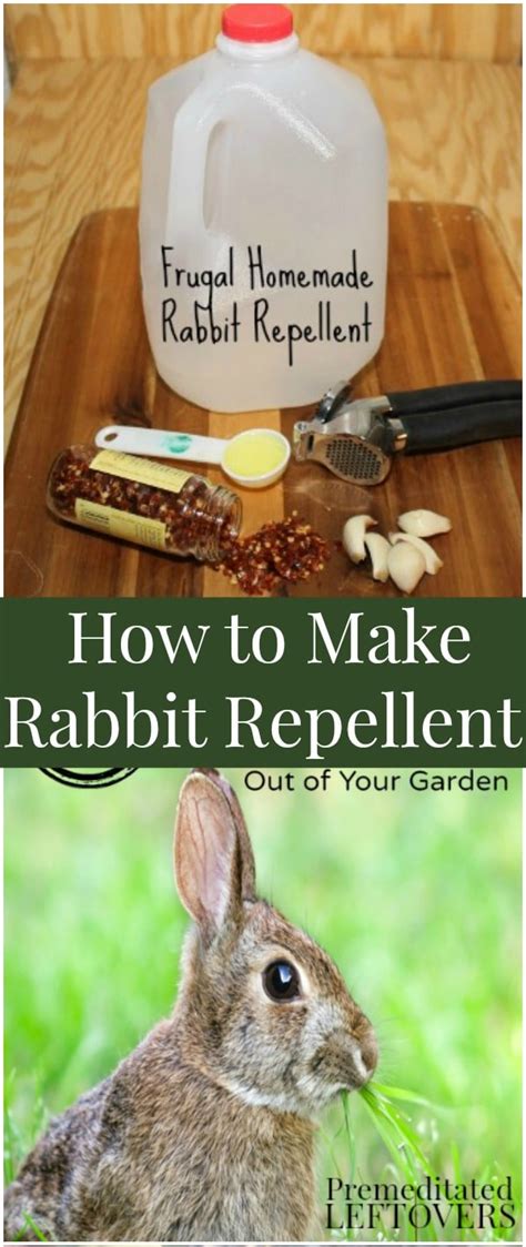 Does garlic keep rabbits away?