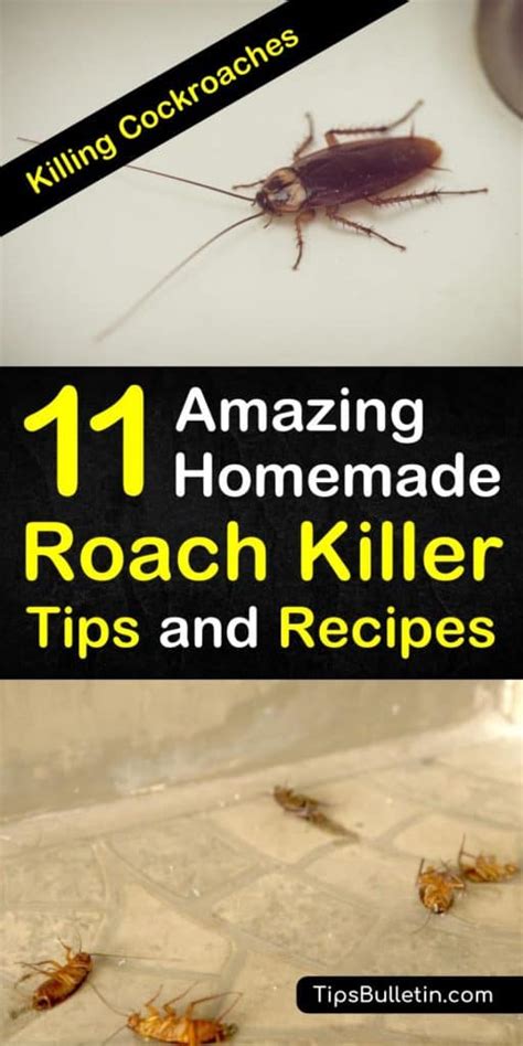 Does garlic kill roaches?