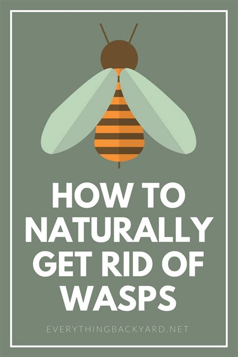 Does garlic powder get rid of wasps?