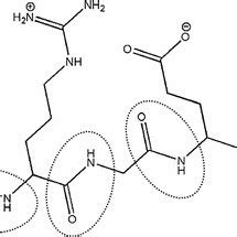 Does gelatin have peptide bonds?