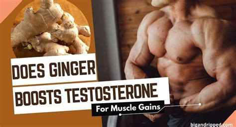 Does ginger boost testosterone?