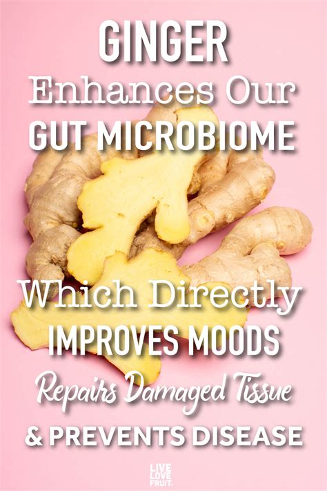 Does ginger destroy bacteria?