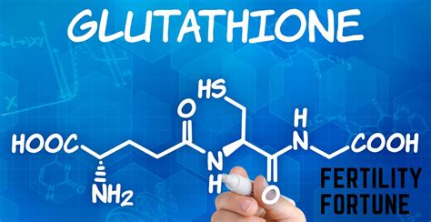 Does glutathione increase estrogen?