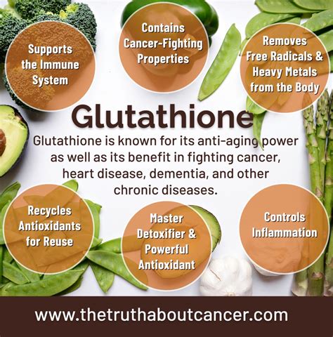 Does glutathione release toxins?