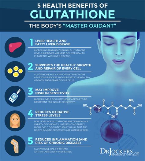 Does glutathione repair liver?