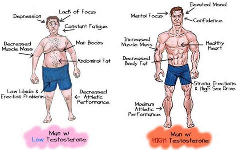 Does good posture help testosterone?