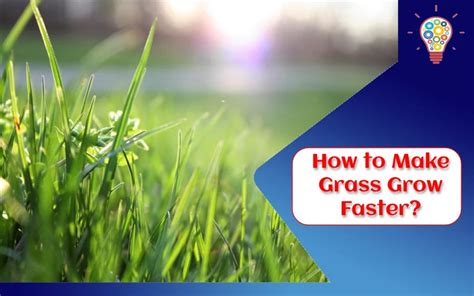 Does grass grow quicker if you cut it?