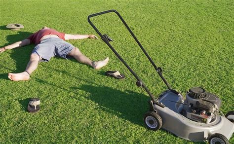 Does grass hurt when you cut it?