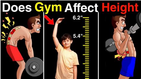 Does gym affect height?