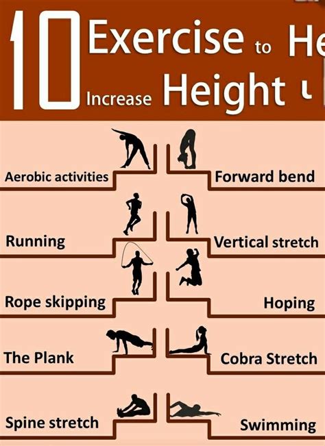 Does gym increase height?