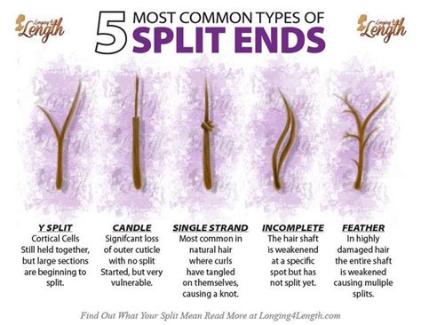 Does hair grow slower with split ends?