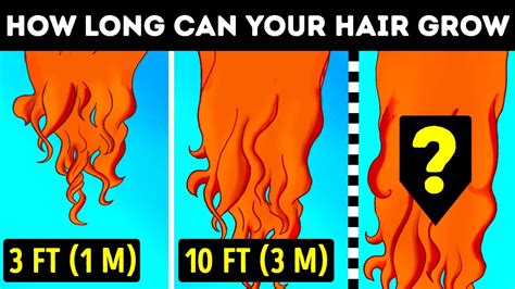 Does hair have a max length?