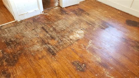 Does hardwood absorb moisture?