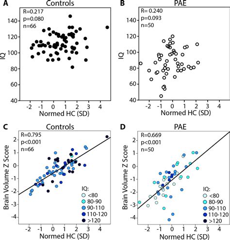 Does head size correlate with IQ?