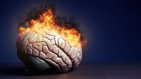 Does heat affect intelligence?