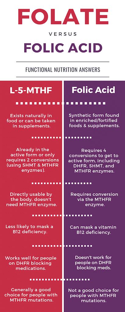 Does heat destroy folic acid?