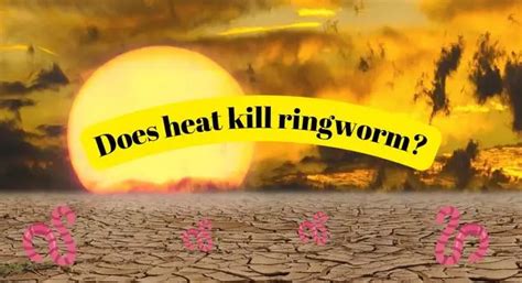 Does heat kill worm eggs?