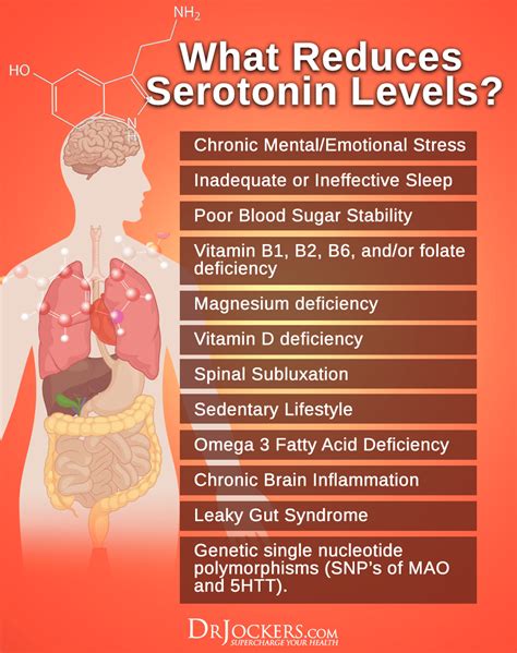 Does high estrogen cause low serotonin?